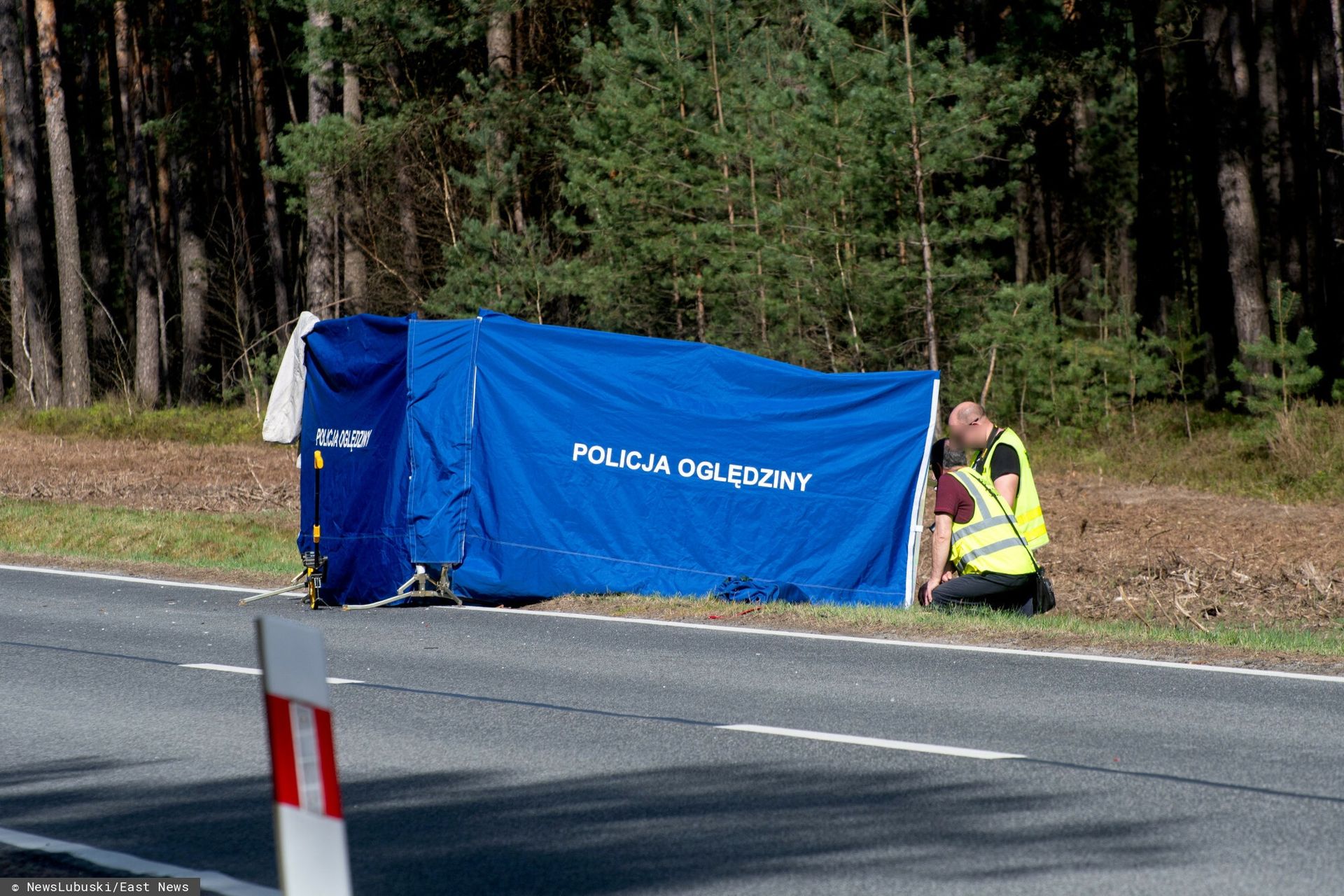 Śmiertelny wypadek na S11 pod Poznaniem: TIR potrącił pracownika koszącego trawę
