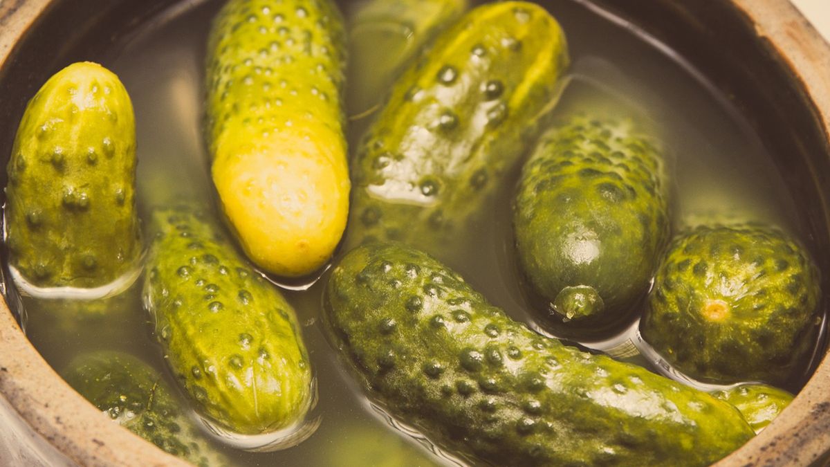 Lubisz ogórki kiszone? Oto jak wpływają na twój organizm
