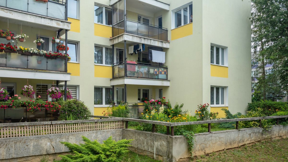 Na balkonach bloków często uprawiane są różnorodne kwiaty, zioła i warzywa