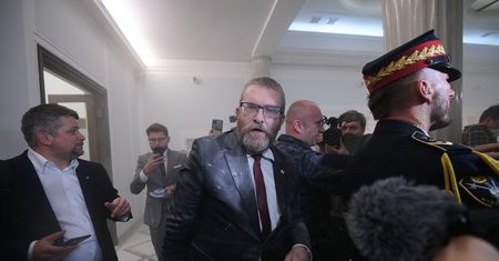 Zaskakujący zwrot w sprawie zbiórek na Grzegorza Brauna. "Kwoty zostały wypłacone"