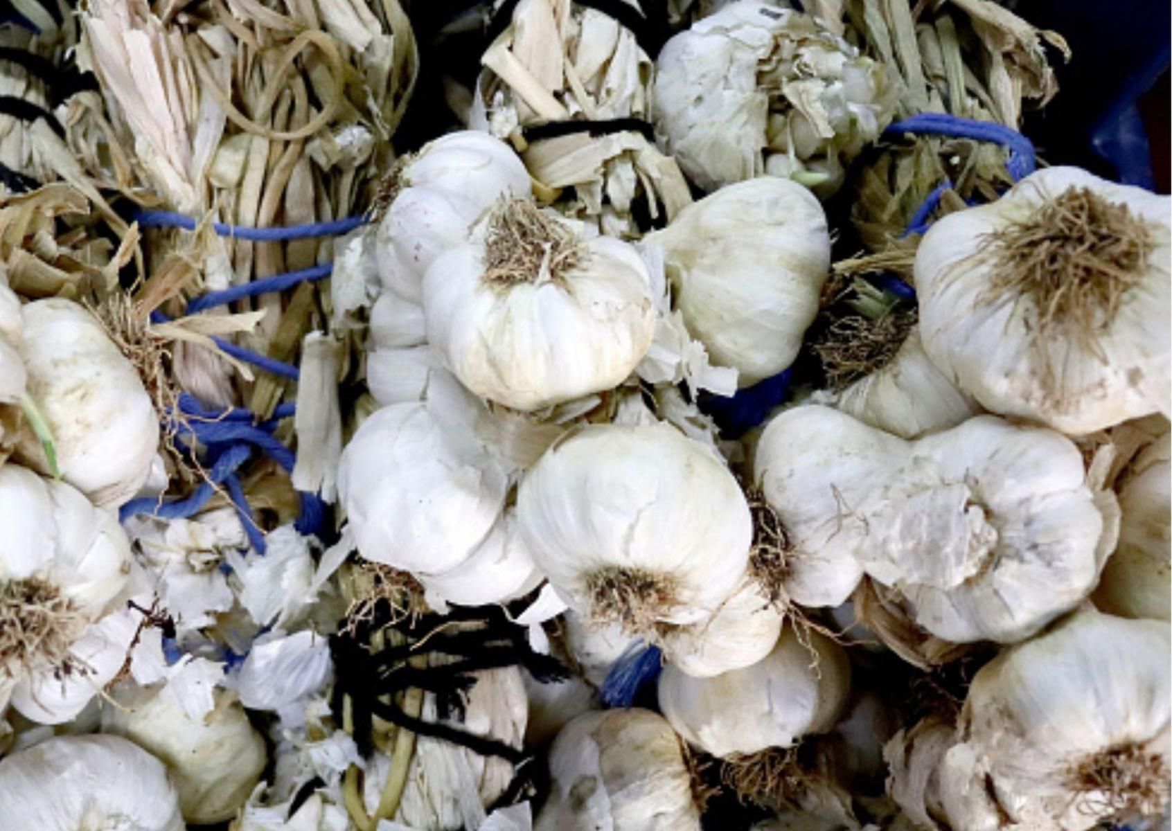 Czosnek może szkodzić. Kto nie powinien go spożywać?