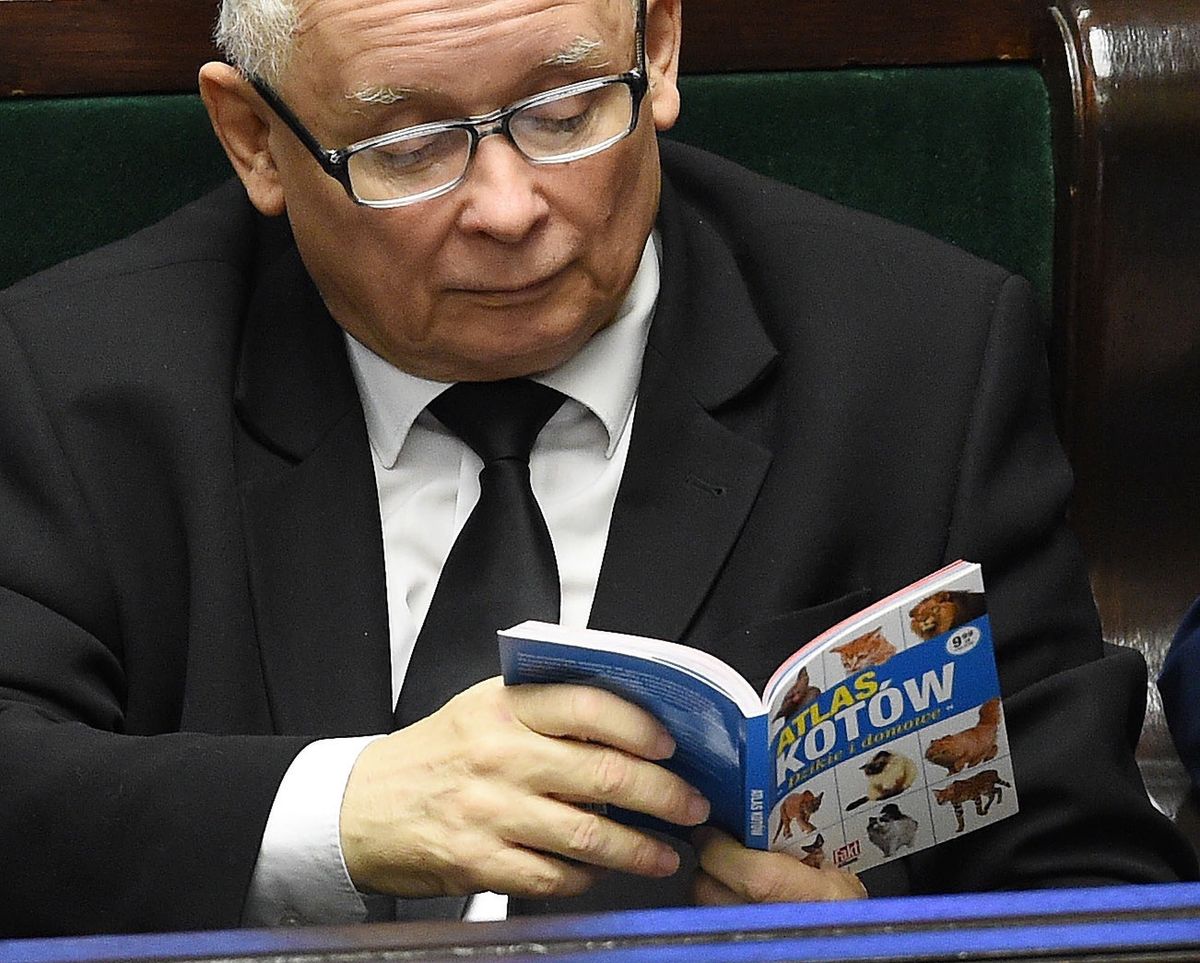 Piątka dla zwierząt. Jarosław Kaczyński czyta "Atlas Kotów" podczas obrad Sejmu