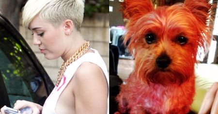 Miley Cyrus: "Moja suczka nie żyje!"