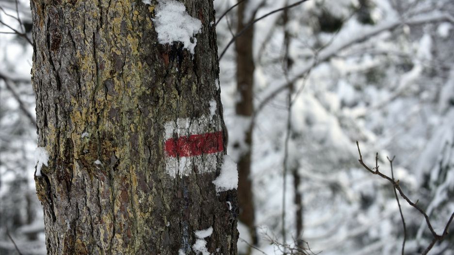 Tatry. Temperatura odczuwalna sięga nawet -63 st. C