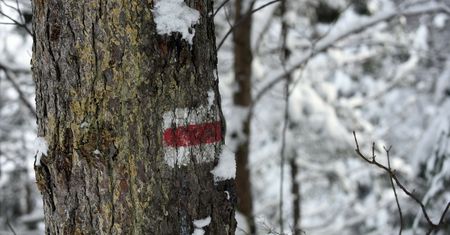 Tatry. Temperatura odczuwalna w ostatnią noc wyniosła nawet -63 st. C