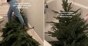 2,5 mln odsłon. Tak postąpiła z choinką. Nagranie wywołało burzę