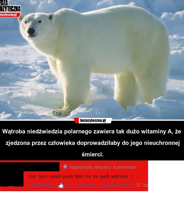 12 najgłupszych tekstów z polskiego Internetu 4