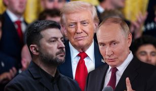 "Taka jest brutalna prawda". Ekspert nie zostawia suchej nitki na planie USA