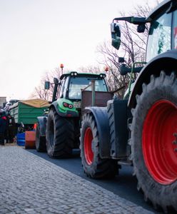 Rolnicy wyjechali na ulice. "Czara goryczy przelała się". Fala protestów w Niemczech