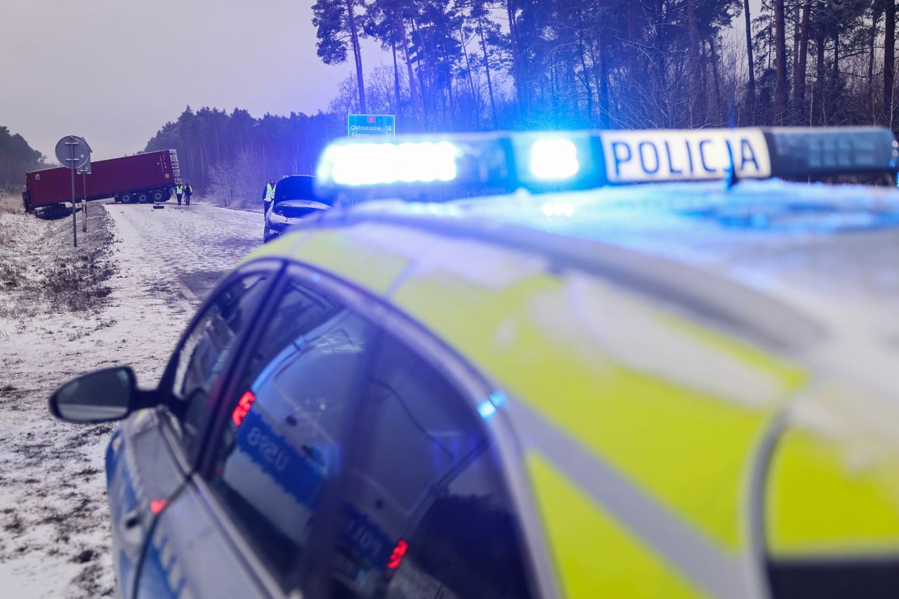 Wypadek ciężarówki z 170 świniami na DK 15