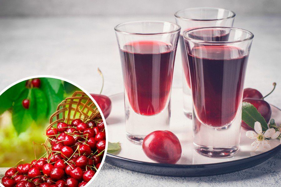 Łagodzi bóle stawów i objawy alergii. Czereśniówka pobudza krążenie, obniża cholesterol. Zobacz przepis na nalewkę z czereśni z pestkami