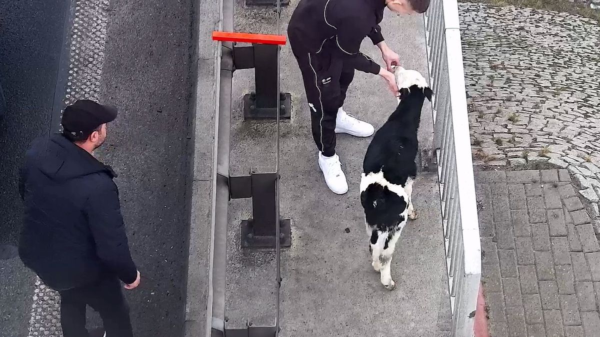 Zdjęcie ilustracyjne