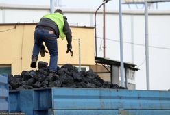 Ponad 100 tys. klientów naraz w e-sklepie PGG. Pod kopalnią komitet kolejkowy