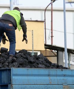 Ponad 100 tys. klientów naraz w e-sklepie PGG. Pod kopalnią komitet kolejkowy