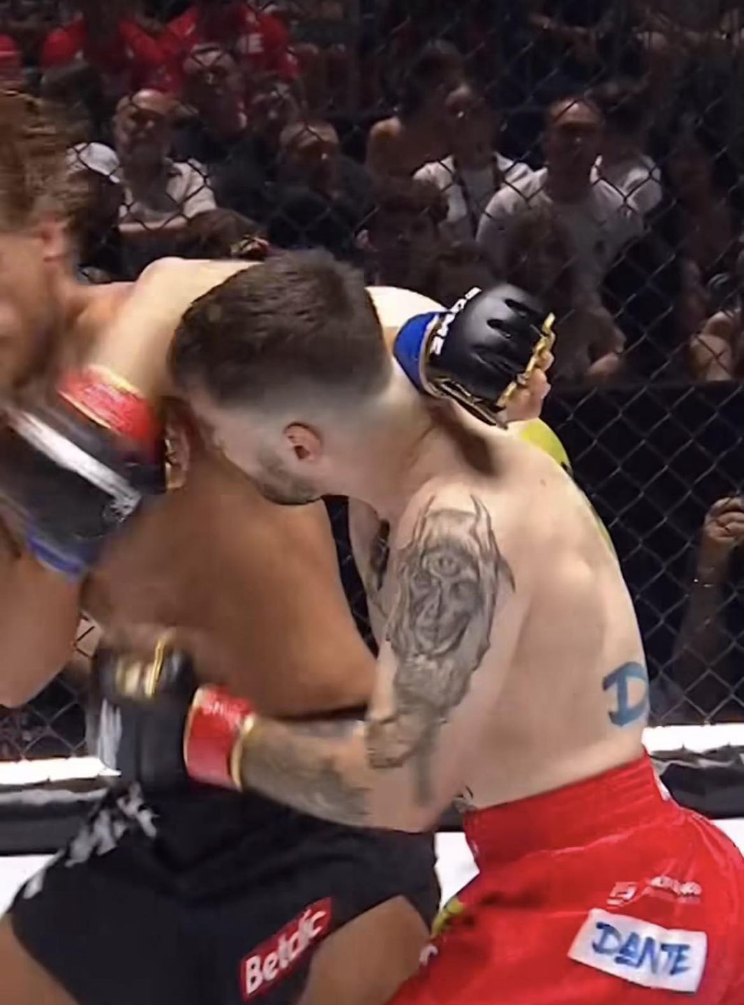 Sebastian Fabijański ZMASAKROWANY na Fame MMA