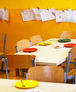 Oława. Salmonella szaleje w żłobkach i przedszkolach. Zatrute dzieci, próbki w laboratorium