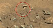 "Ludzkie kości" na Marsie. Naukowcy wyjaśniają, co to takiego