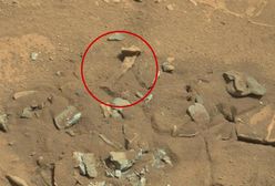 "Ludzkie kości" na Marsie. Naukowcy wyjaśniają, co to takiego