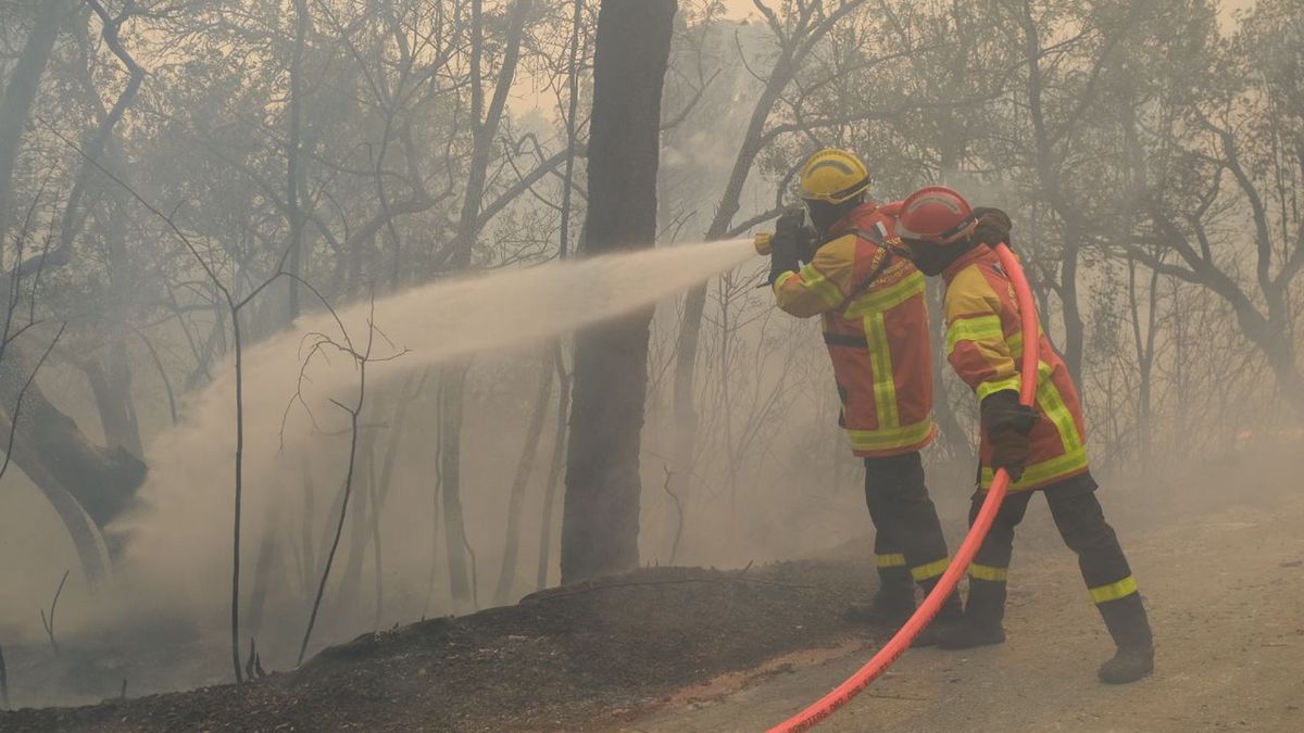 Strażacy walczą z pożarami we Francji
