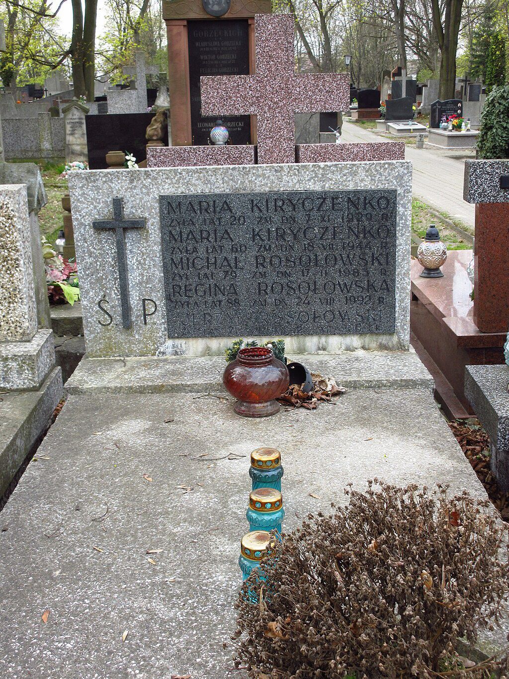 Grób Jerzego Rosołowskiego