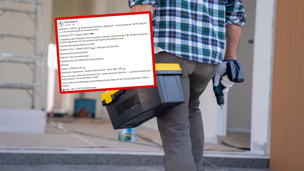 Niemcy szukają do pracy. Stawka rozbawiła Polaków.