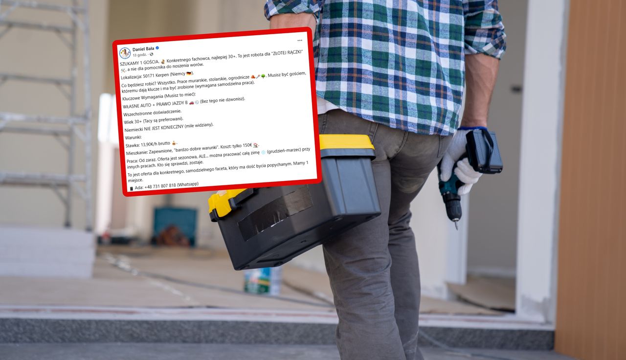 Polacy aż parsknęli śmiechem. Niemcy szukają do pracy. Tyle dają