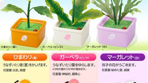 Kto mógł wyprodukować gadające kwiatki? [wideo] 1