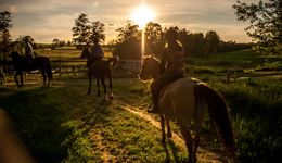 Toskania na Dolnym Śląsku. Agroturystyka jakich mało
