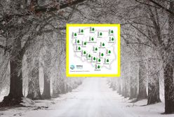 Prognoza długoterminowa IMGW. Jaka będzie pogoda w zimie 2025/2026?