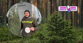 "Choinka dla życia". Lasy Państwowe rozdają drzewka w całej Polsce