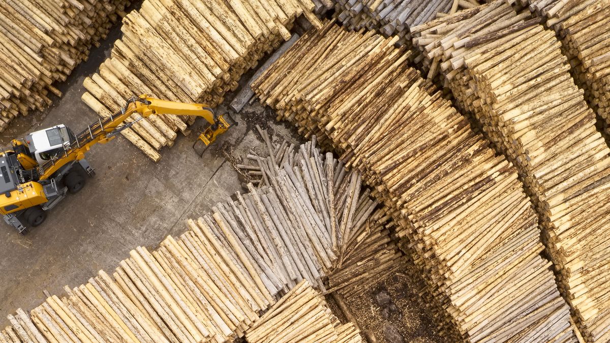 drewno tartak drewna