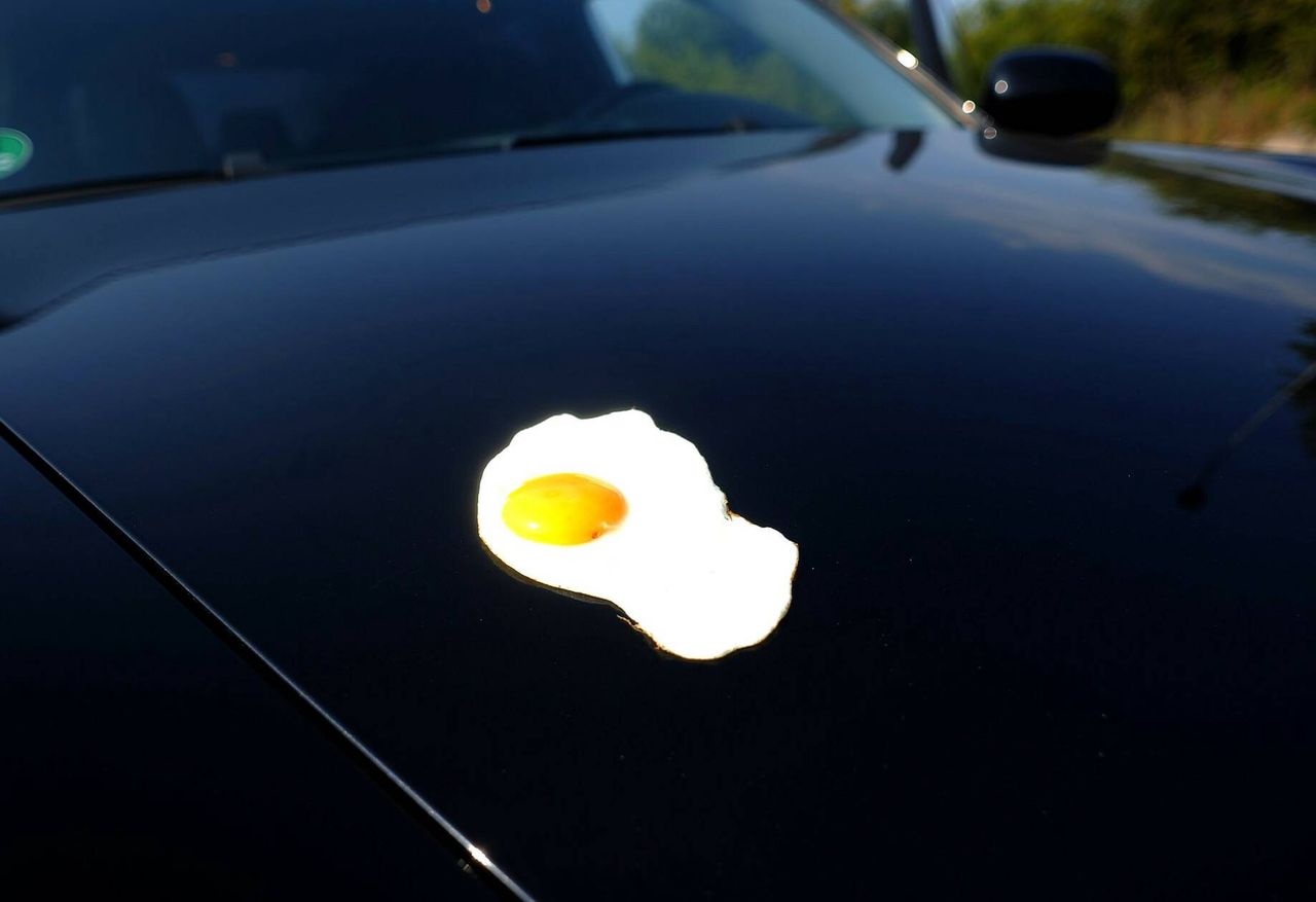 An egg on the car bonnet?