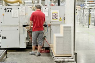 Rząd chwali się poprawą. Branża widzi upadek sektora drzewnego