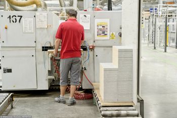 Rząd chwali się poprawą. Branża widzi upadek sektora drzewnego