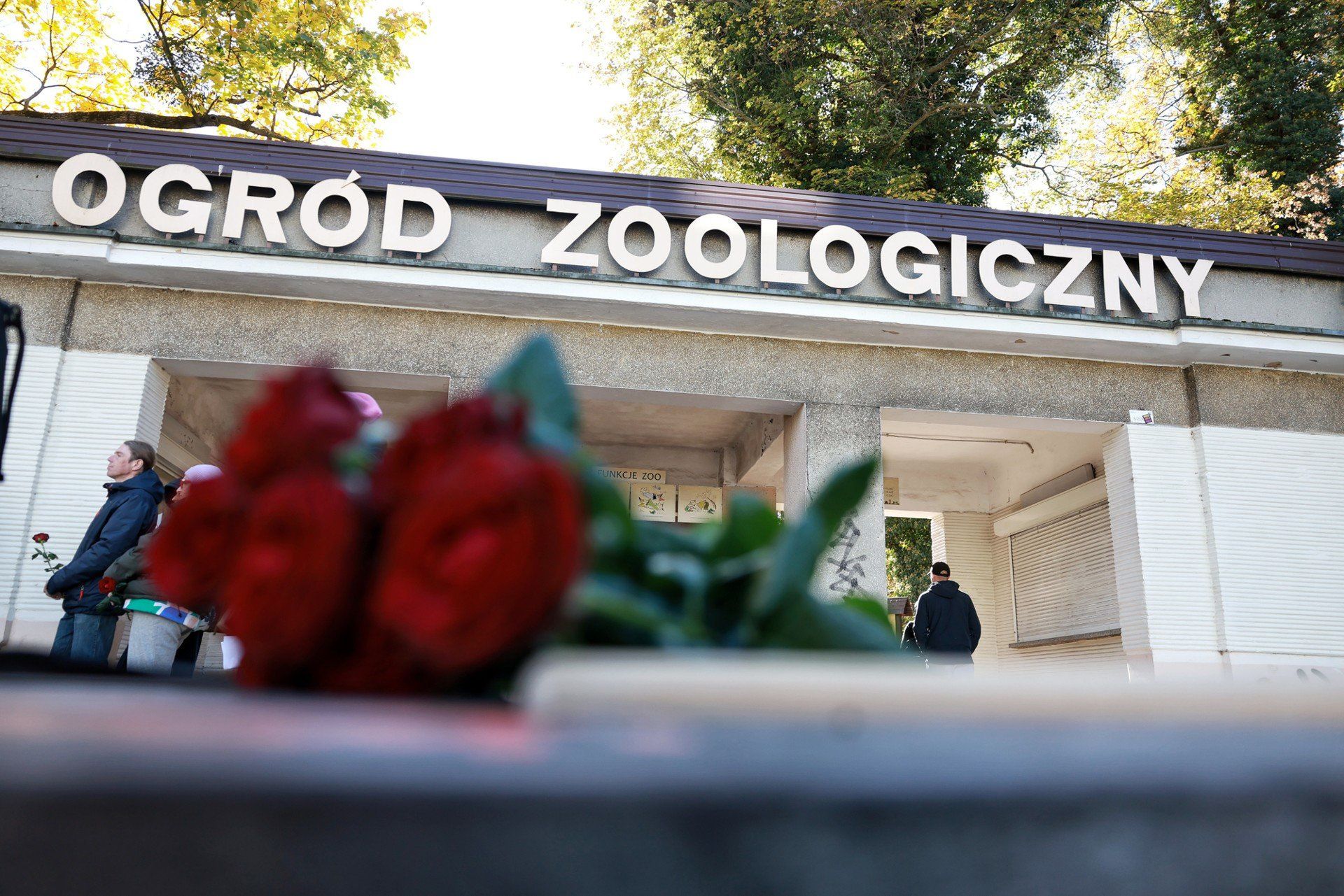 Protest pod Starym Zoo w Poznaniu