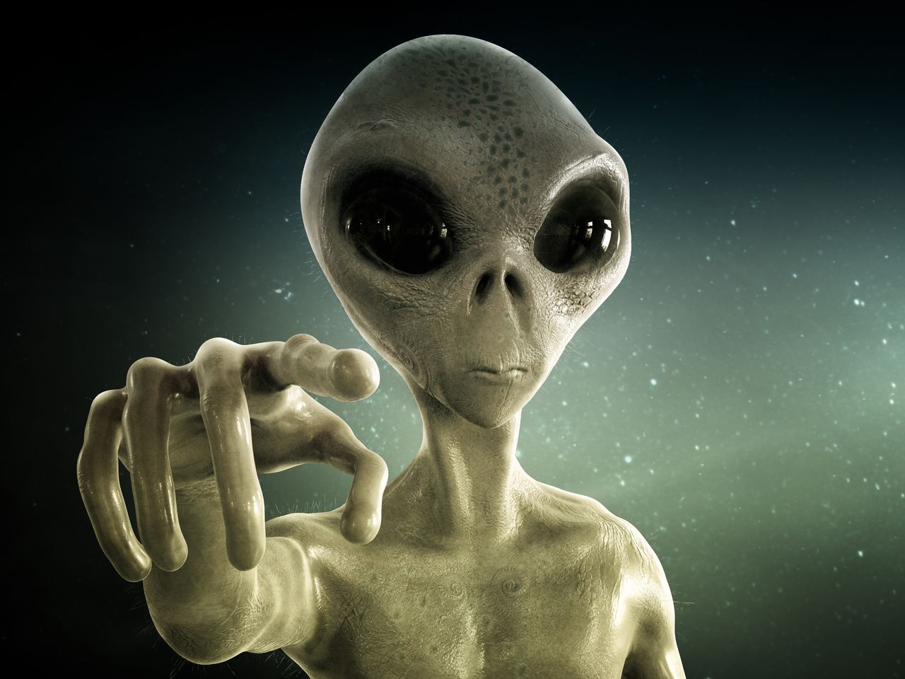 323941651356658089