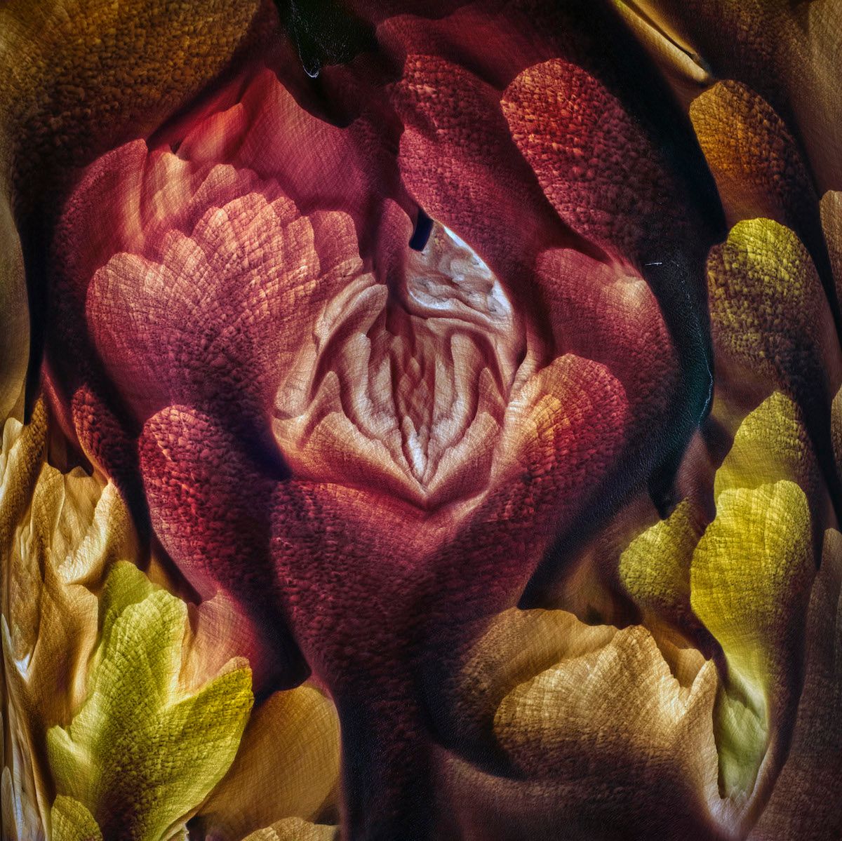 International Landscape Photographer of the Year 2019 – wyniki konkursu 8