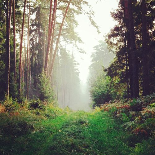 Fotograficzne inspiracje z Instagrama [cz. 2] 31