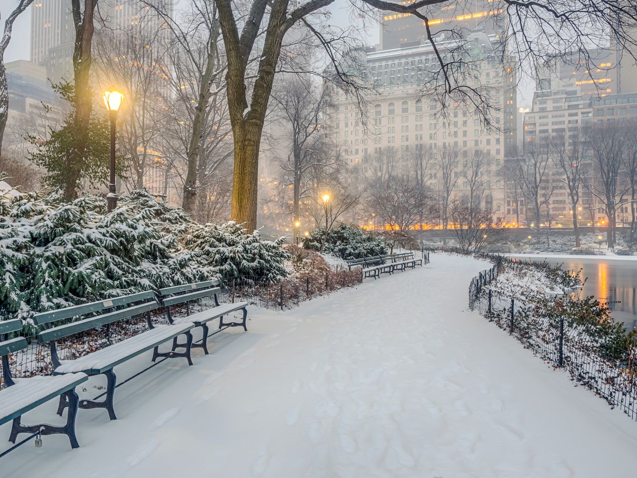 Central Park w Nowym Jorku zimą