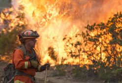 USA. Kalifornia znów płonie. "Jesteśmy kompletnie uwięzieni"