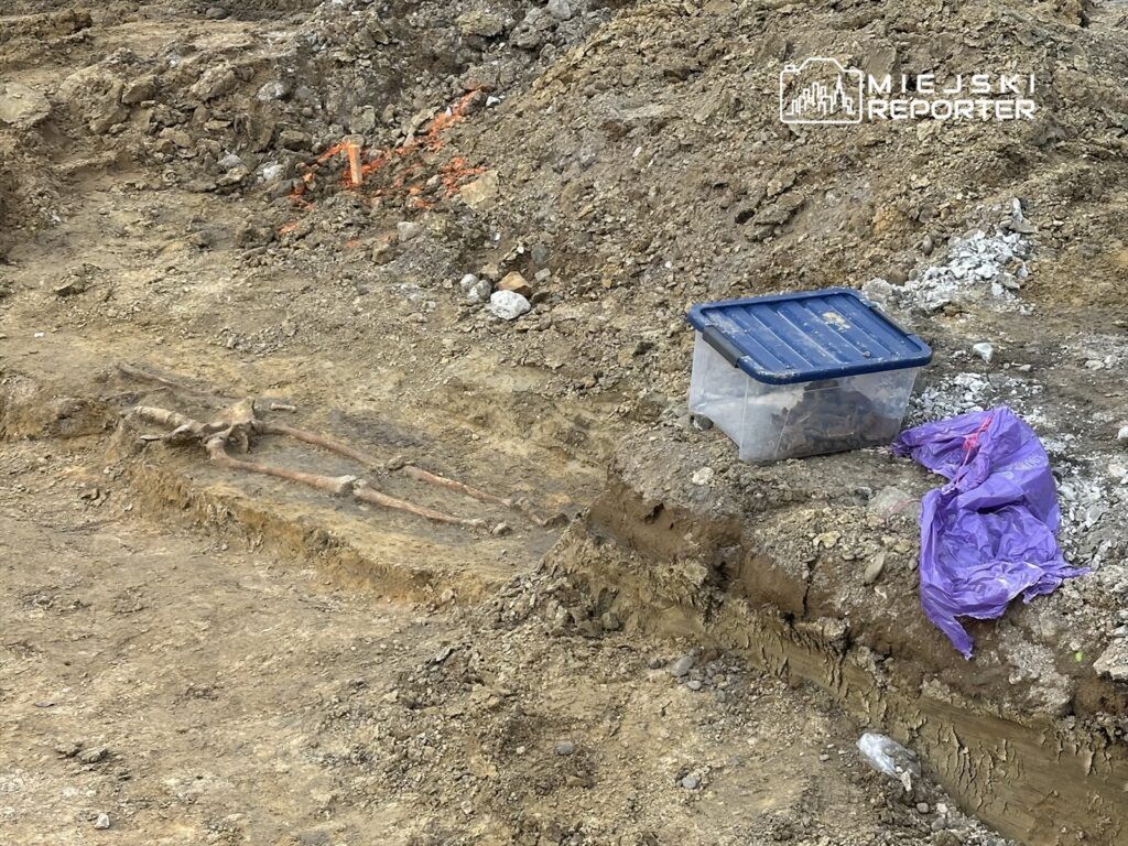 Na odkrytym terenie archeologicznym leżą fragmenty kości oraz przezroczysty pojemnik z zawartością obok fioletowej torby.