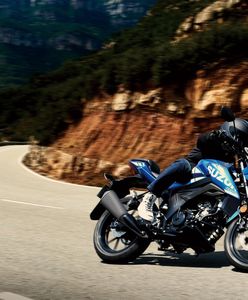 Miażdżące wyniki badań. Motocykliści mówią: "nie"