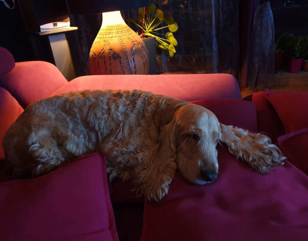 Mieszkanie Katarzyny Skrzyneckiej