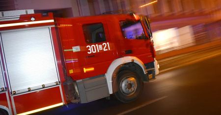 Chwile grozy w Mysłowicach. Pies wpadł do szamba, strażacy musieli rozkuć beton
