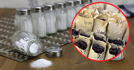 Wystarczy szczypta. Cztery przyprawy, które zbijają ciśnienie krwi