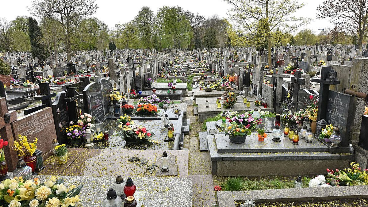 Czy na cmentarzu w Głogowie doszło do pomyłki? (zdjęcie ilustracyjne)