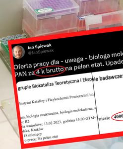 Absurdalna oferta pracy. Trudno uwierzyć, jakie zarobki proponują