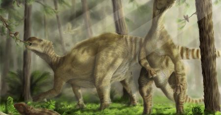 Historia dinozaurów do poprawki. Nowe dane zaskakują naukowców
