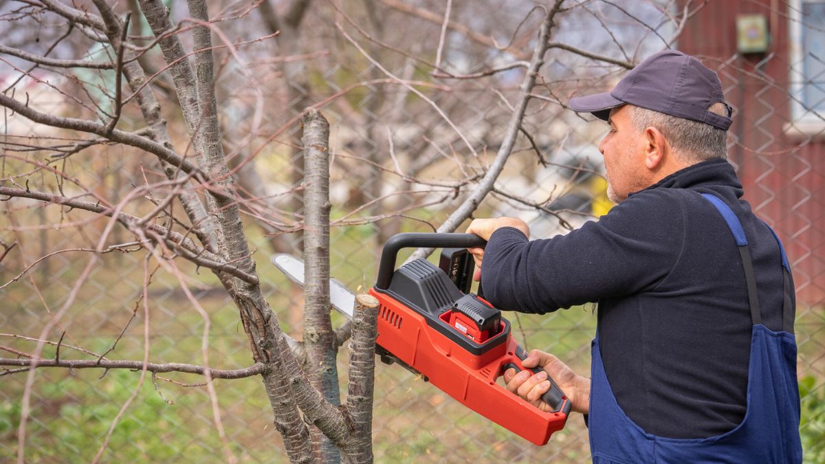 Mężczyzna ścina drzewo