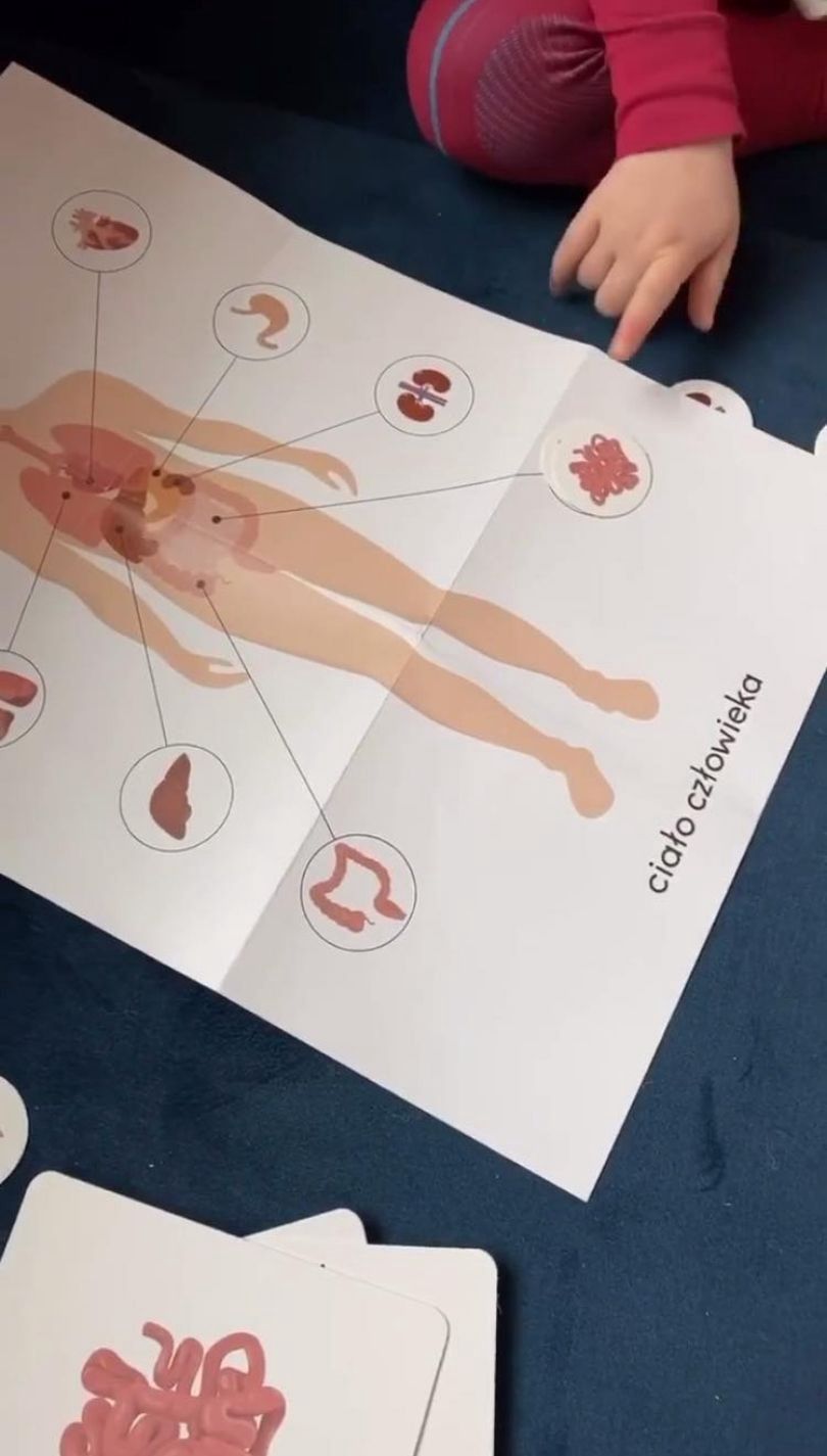 Anna Lewandowska uczy Klarę anatomii